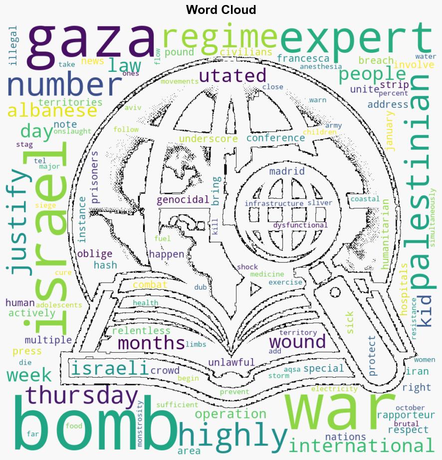 Nothing justifies what Israel has done in Gaza UN expert - Globalsecurity.org - Image 1