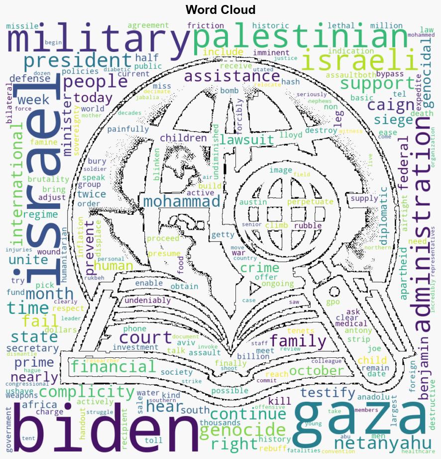 Why I Am Testifying in a Lawsuit Charging Biden With Complicity in Genocide - Thenation.com - Image 1