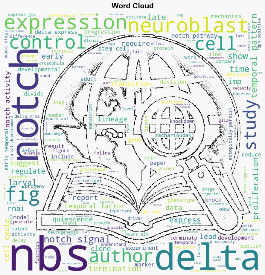 Deltadependent Notch activation closes the early neuroblast temporal program to promote lineage progression and neurogenesis termination in Drosophila - Elifesciences.org - Image 1