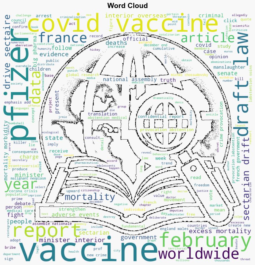 Frances Draft Law Citizens Who Speak out against the Covid19 Vaccine 3 Years Prison and 45000 Fine - Globalresearch.ca - Image 1