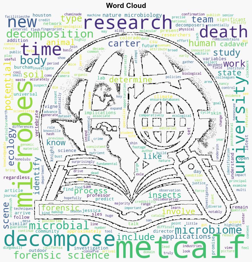 New study on decomposing microbes could help transform forensic science - Phys.Org - Image 1