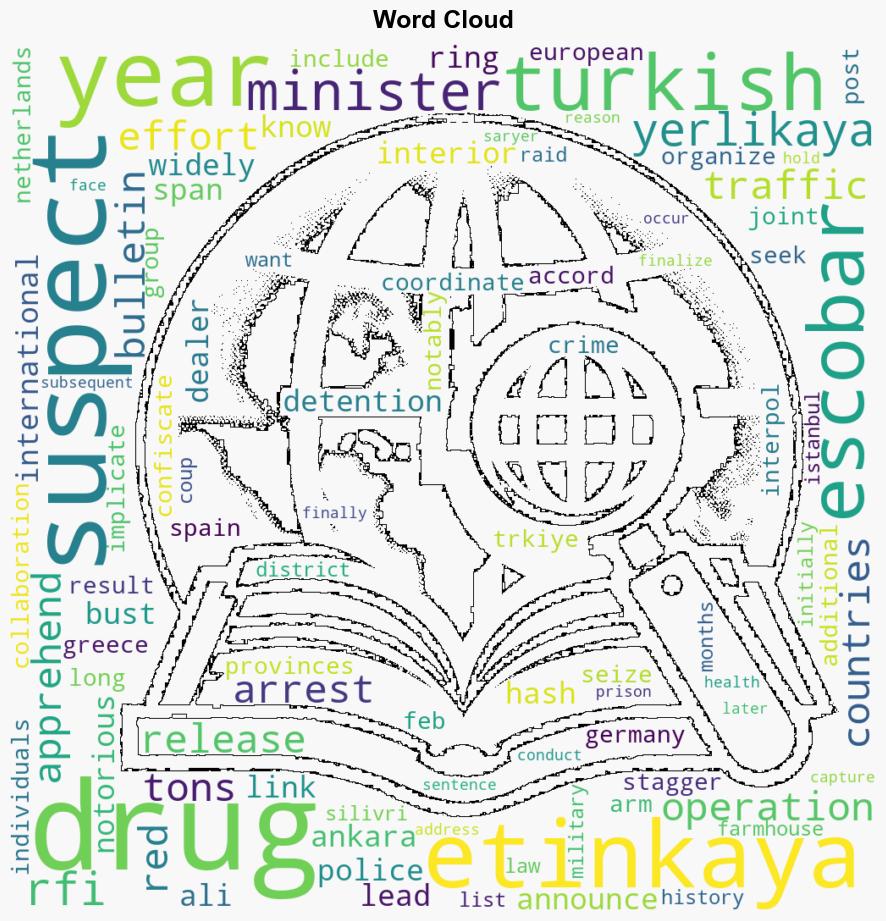 Police bust international drug ring led by Turkish Escobar - Hurriyet Daily News - Image 1