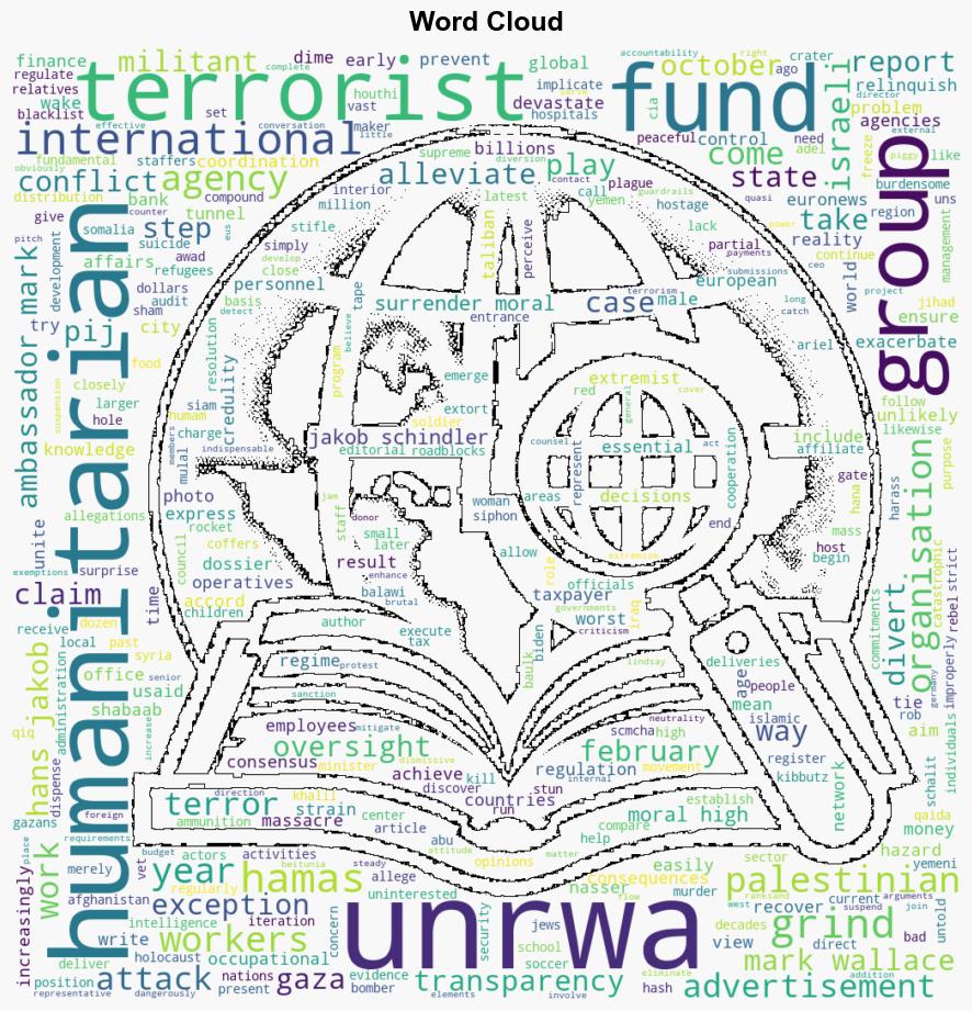 The UNRWA case reveals a much larger problem with humanitarian aid - Euronews - Image 1