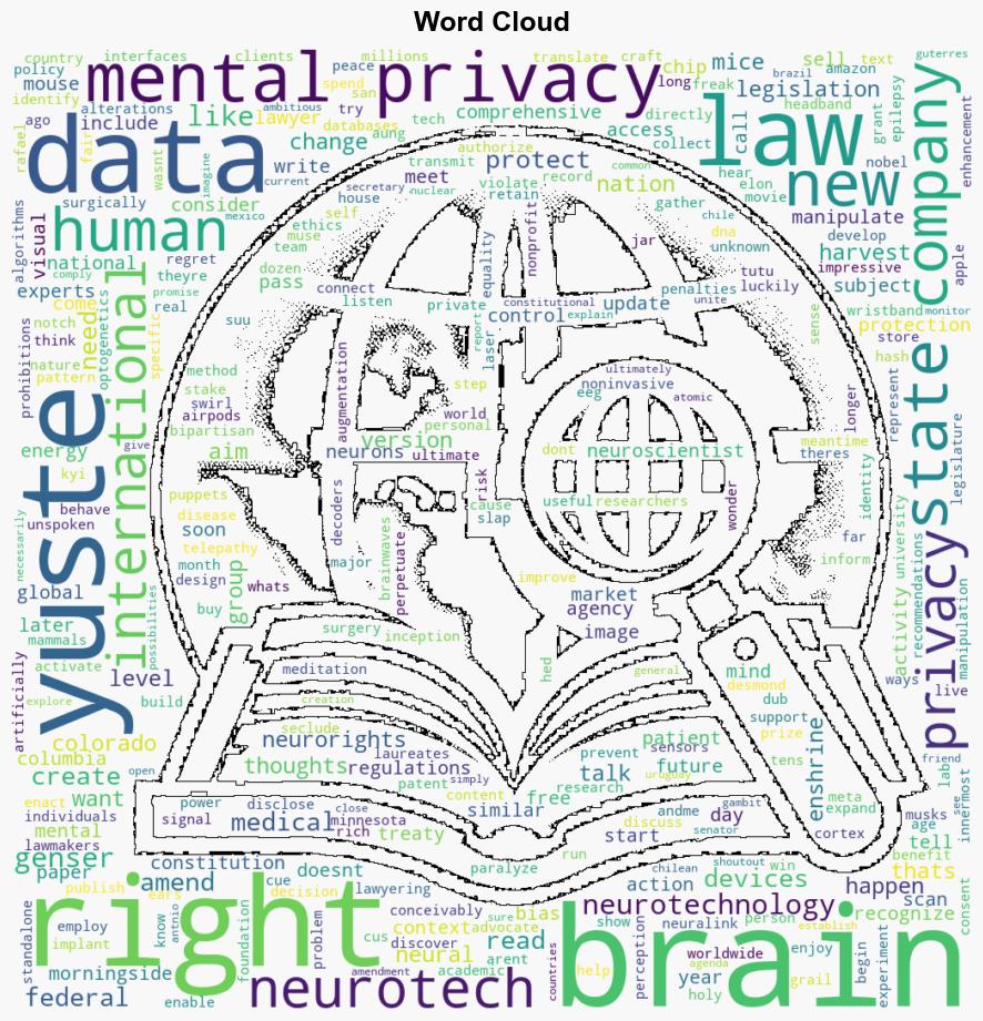 Your brain needs a really good lawyer - Vox - Image 1