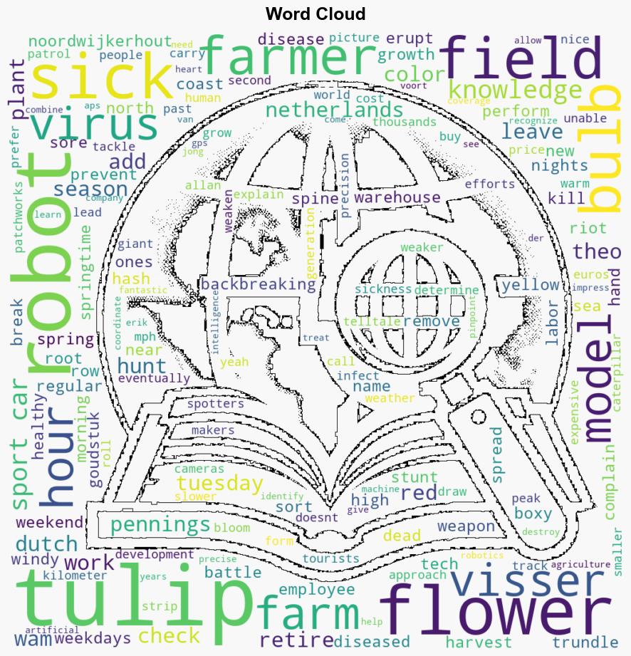 An AI robot is destroying sick tulips in Dutch bulb fields - Associated Press - Image 1