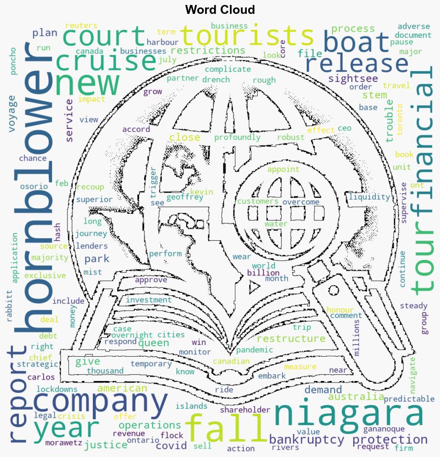 Company offering boat tours of Niagara Falls struggles under 12B debt bankruptcy protection - CBC News - Image 1