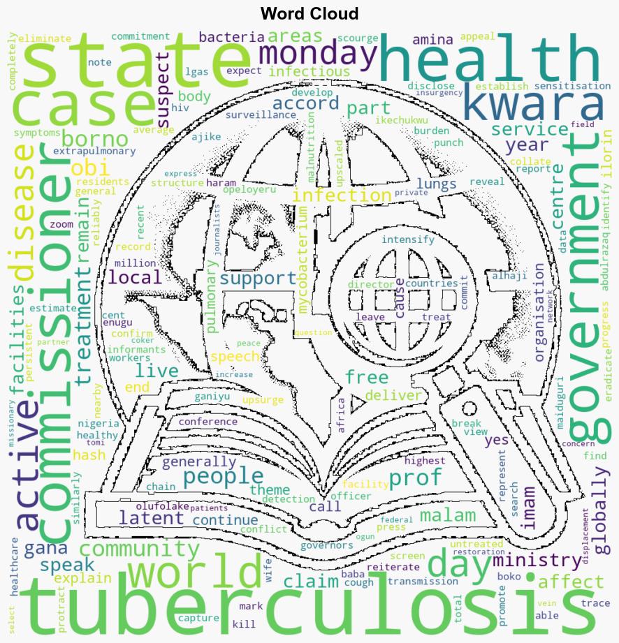 Enugu Borno record 7496 tuberculosis case 1869 killed in Kwara - The Punch - Image 1