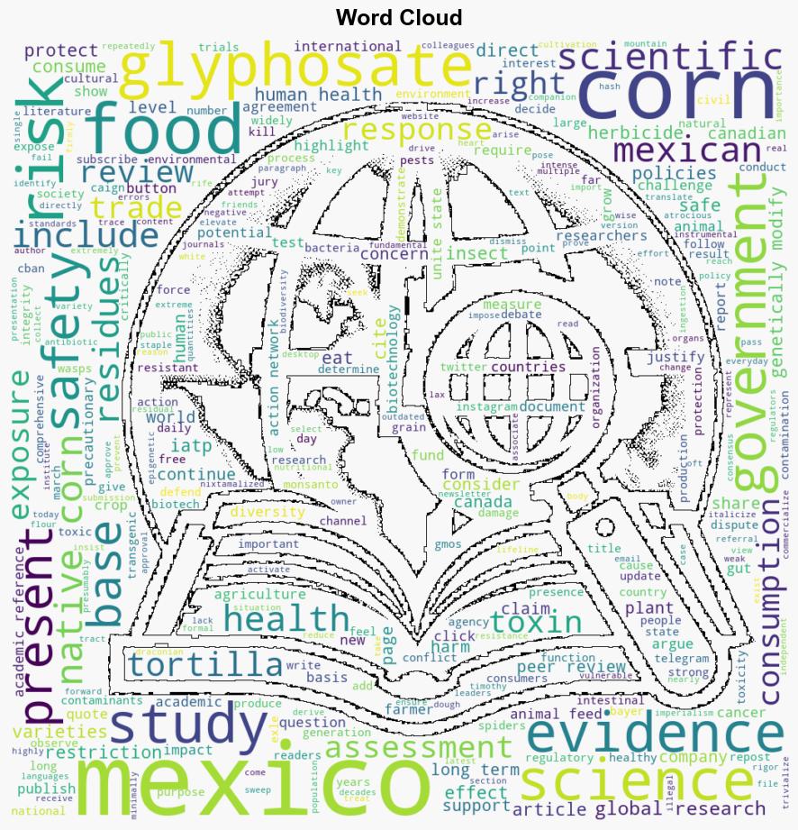 Mexicos Struggle Against Imposition of GM Corn by USA Needs Wide Support as Peoples Basic Right to Safe Food Is Threatened - Globalresearch.ca - Image 1