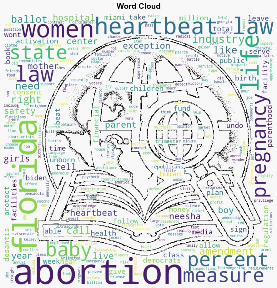 Democrats Counter Floridas New Heartbeat Law With Fearmongering Ballot Measure - The Federalist - Image 1