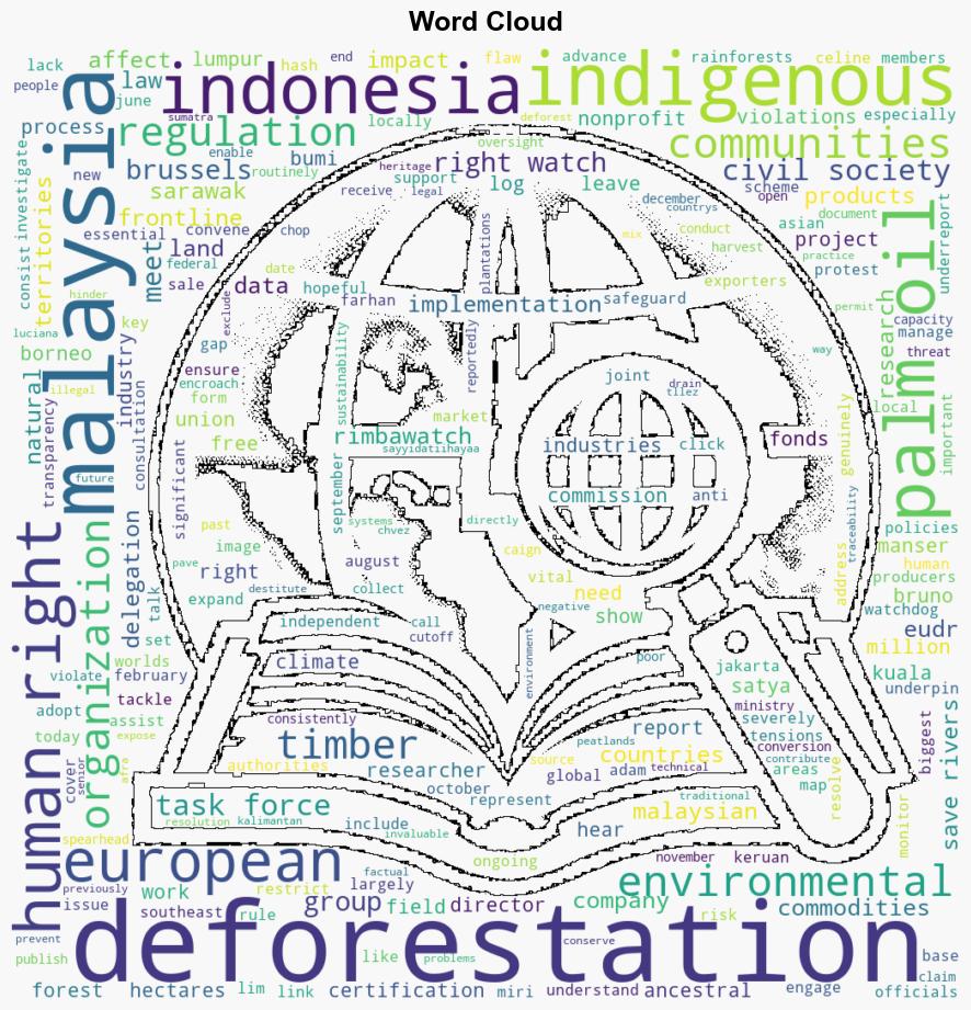 EU Include Civil Society in AntiDeforestation Task Force - Human Rights Watch - Image 1