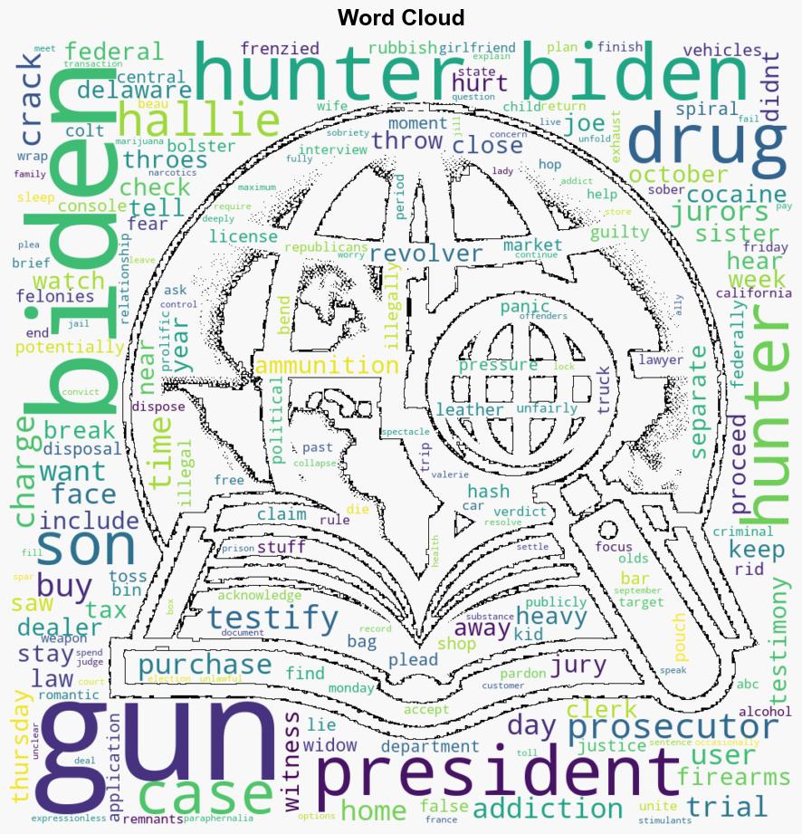 Widow of Beau Biden testifies about seeing revolver in Hunter Bidens truck - Al Jazeera English - Image 1