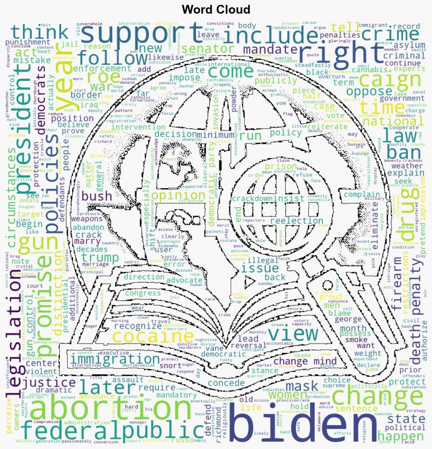 Bidens Final FlipFlop - Reason - Image 1