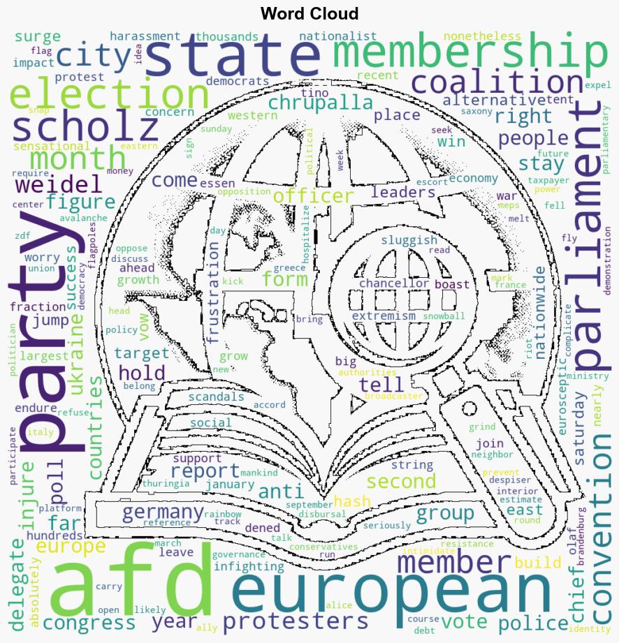 Farright Alternative for Germany reports surge in membership - VOA News - Image 1