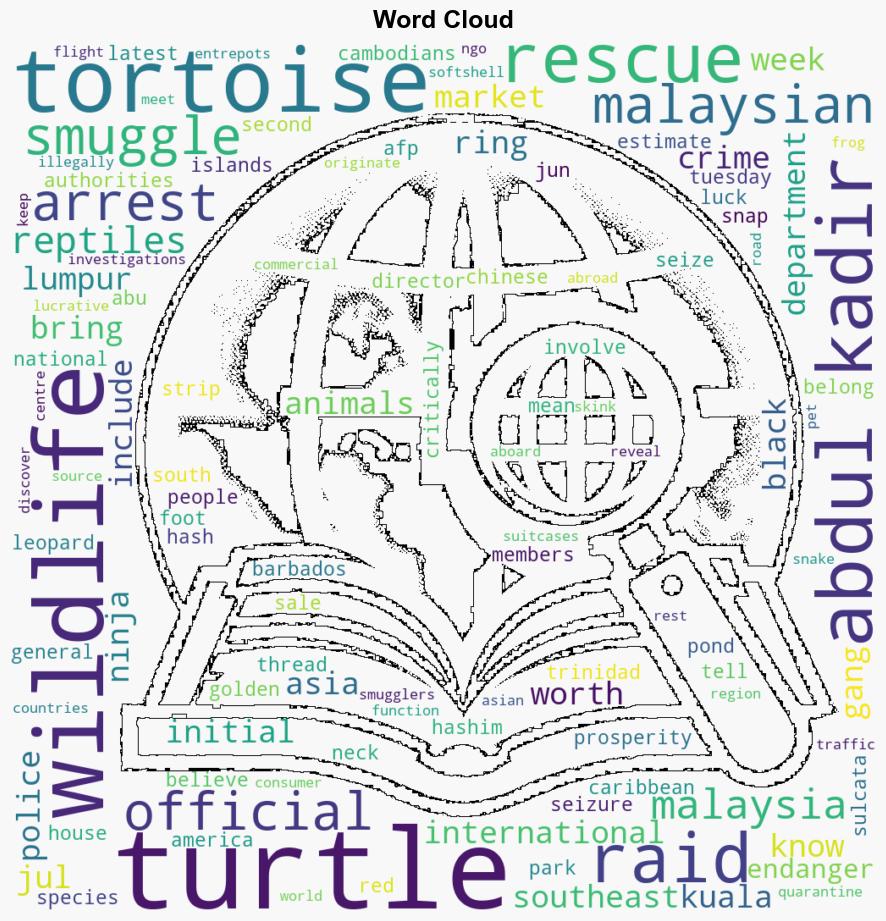 Malaysia arrests six Ninja Turtle Gang members seizes tortoises - CNA - Image 1