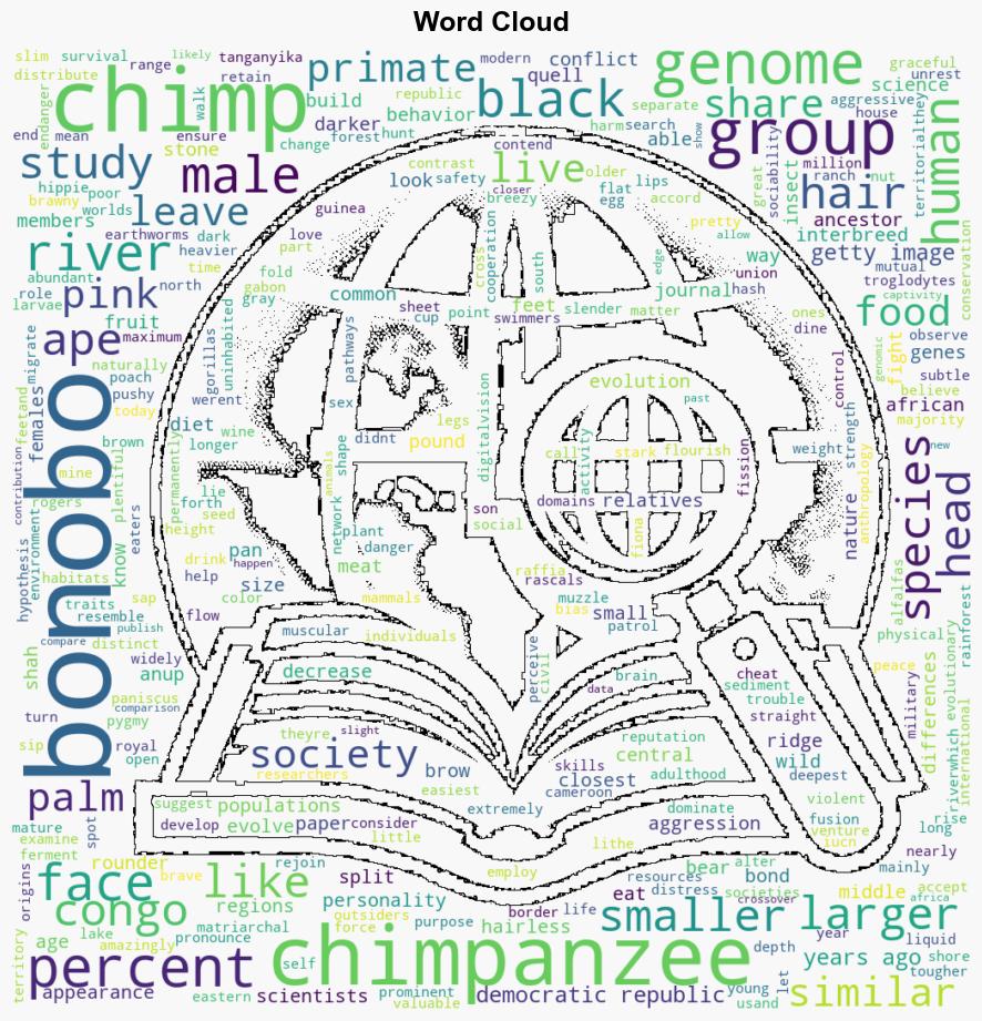 Chimpanzees vs Bonobos Whats the Difference - Mental Floss - Image 1