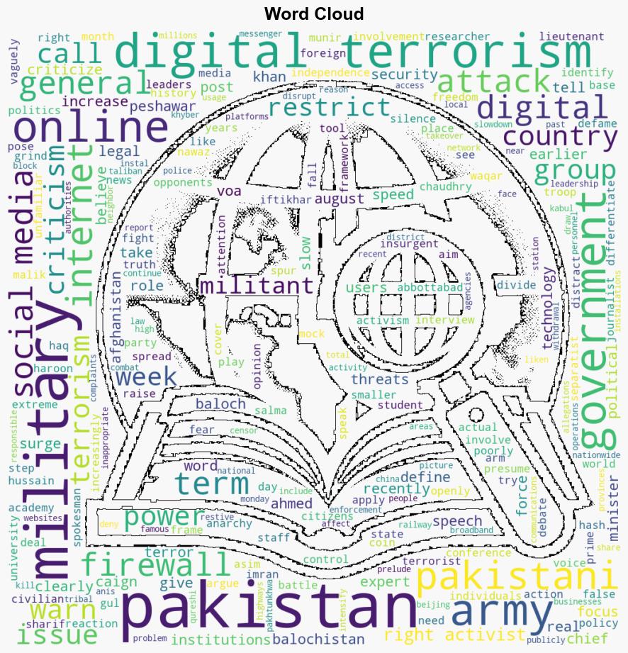 Digital terrorism spurs debate on social media use in Pakistan - Globalsecurity.org - Image 1