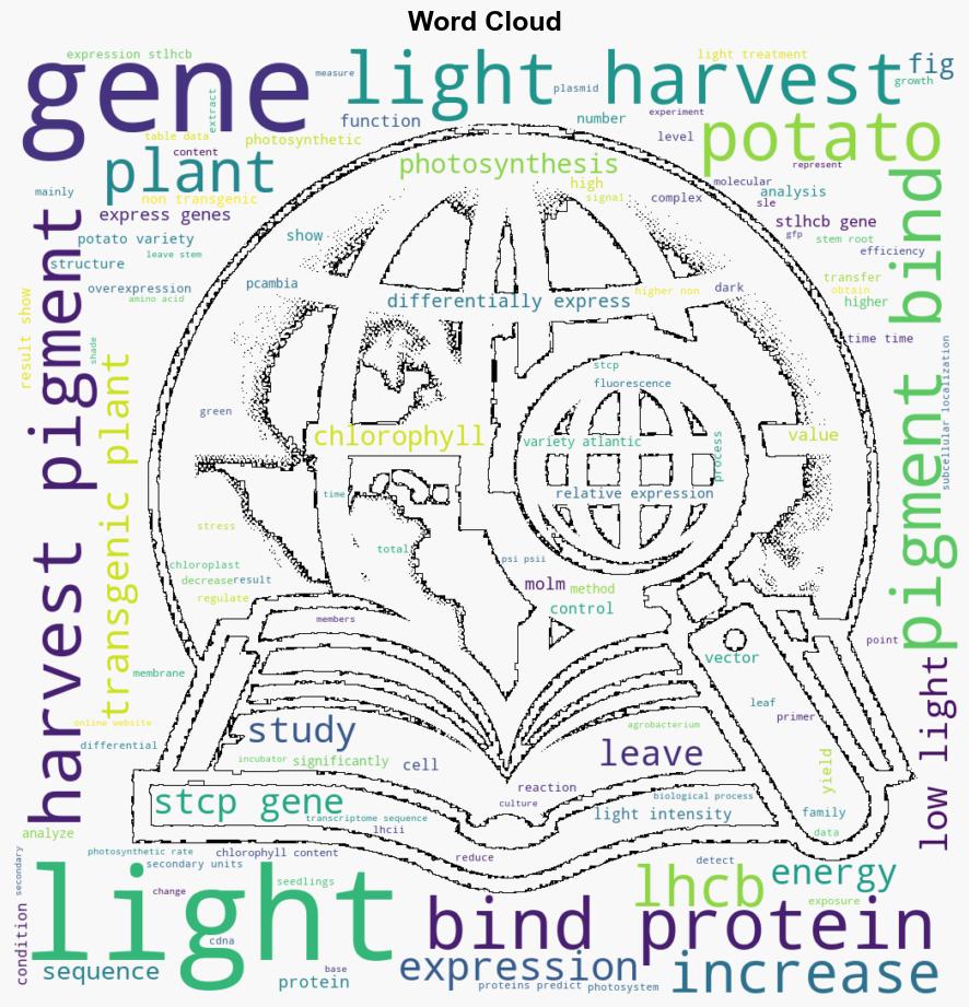 Expression pattern of Stlhcb gene family in potato and effects of overexpression of Stcp24 gene on potato photosynthesis - Plos.org - Image 1