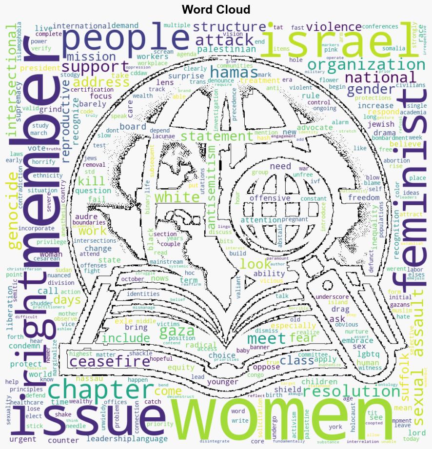 The National Organization for Women Intersectionality and Gaza - CounterPunch - Image 1