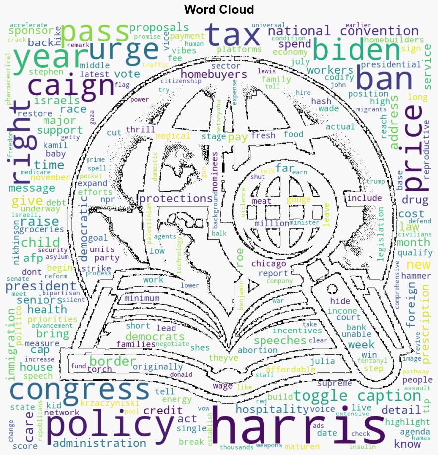 What we know and dont know about the Harris policy agenda - NPR - Image 1