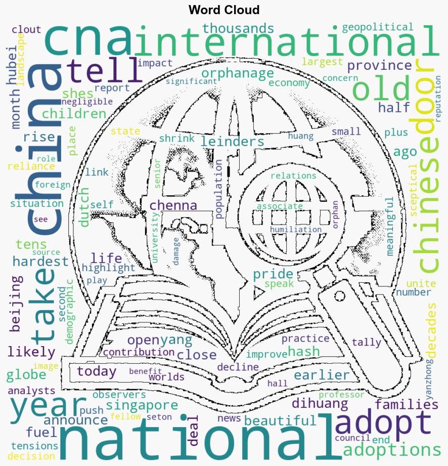 Matter of national pride Analysts say nationalism not population concerns behind China ending foreign adoptions - CNA - Image 1