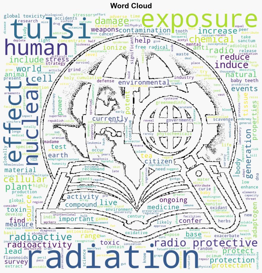 Plantbased radiation protection Tulsi - Naturalnews.com - Image 1