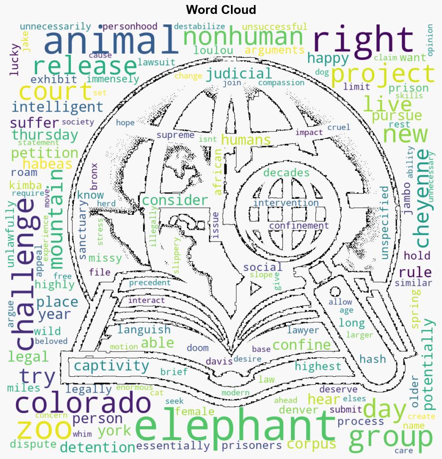 Should Elephants Have the Same Rights as People A Colorado Court May Decide - Time - Image 1