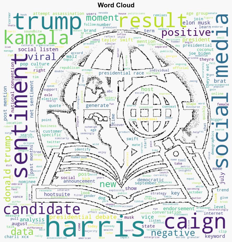 US presidential election statistics 2024 social media data - Hootsuite.com - Image 1