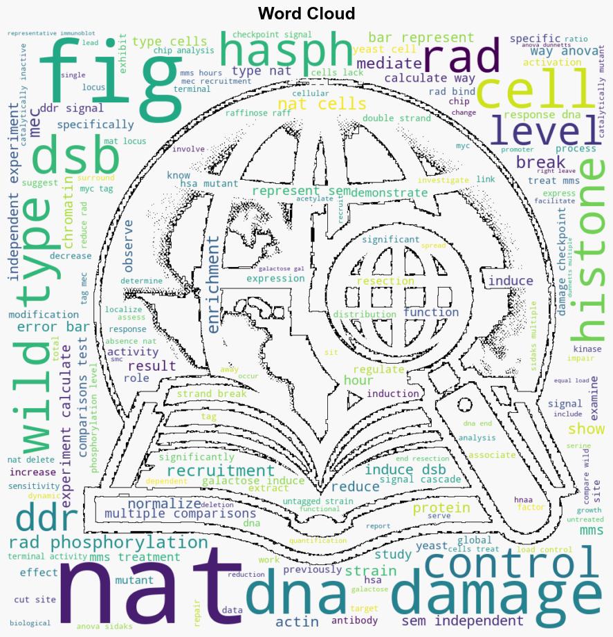 Yeast Nat4 regulates DNA damage checkpoint signaling through its Nterminal acetyltransferase activity on histone H4 - Plos.org - Image 1