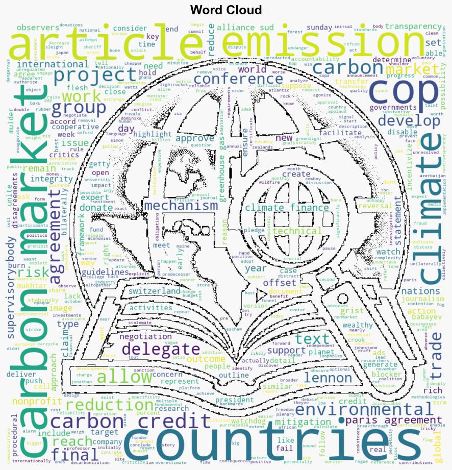 At COP29 new rules for carbon markets made them even more controversial - Grist - Image 1