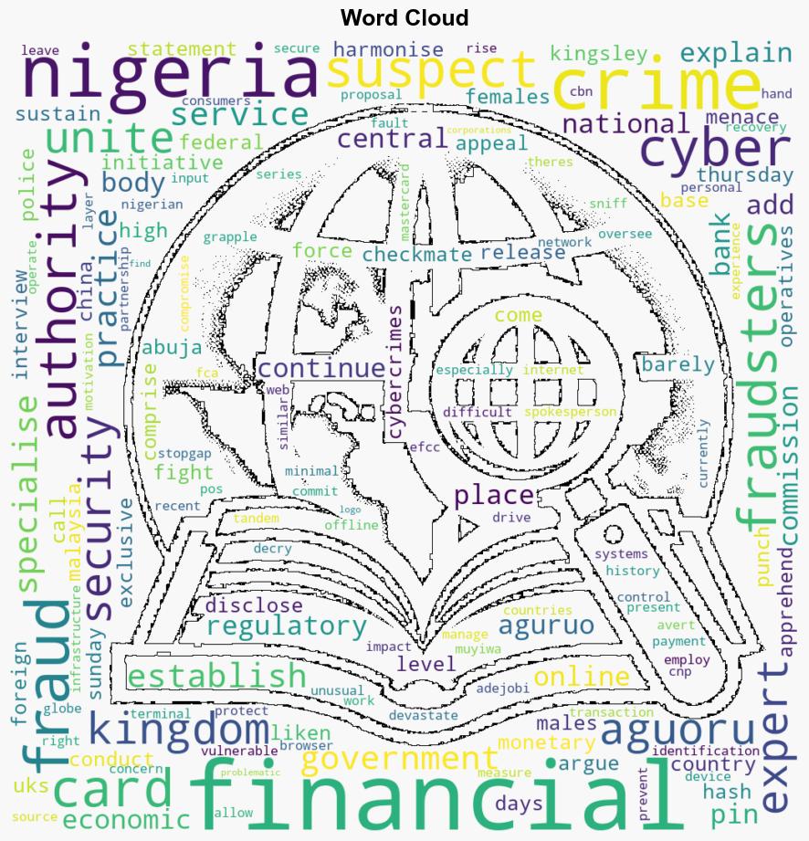 Expert advocates measures to fight cyber financial crimes - The Punch - Image 1