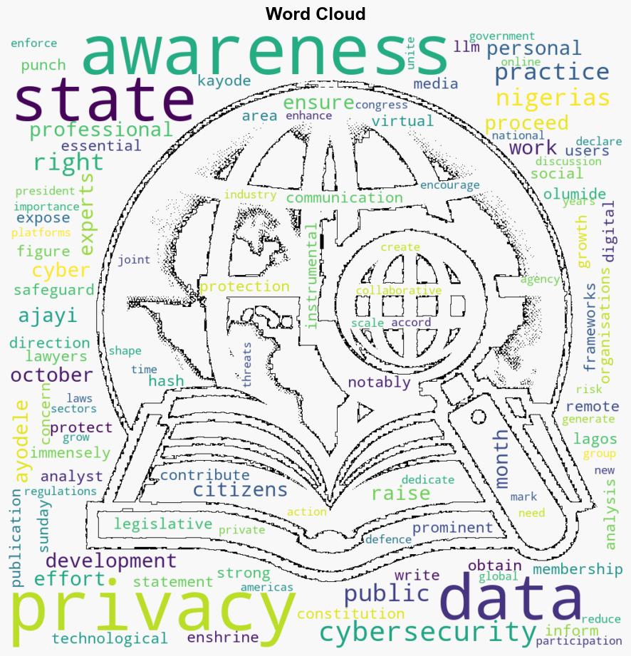 Expert harps on data privacy rights - The Punch - Image 1