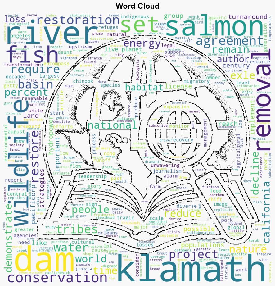 How the Return of Salmon to the Klamath River Shows Us Whats Possible in Wildlife Conservation - Scientific American - Image 1