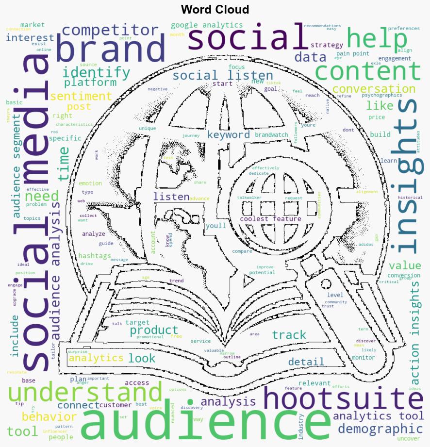 Social media audience analysis An easy tactical guide for 2025 - Hootsuite.com - Image 1