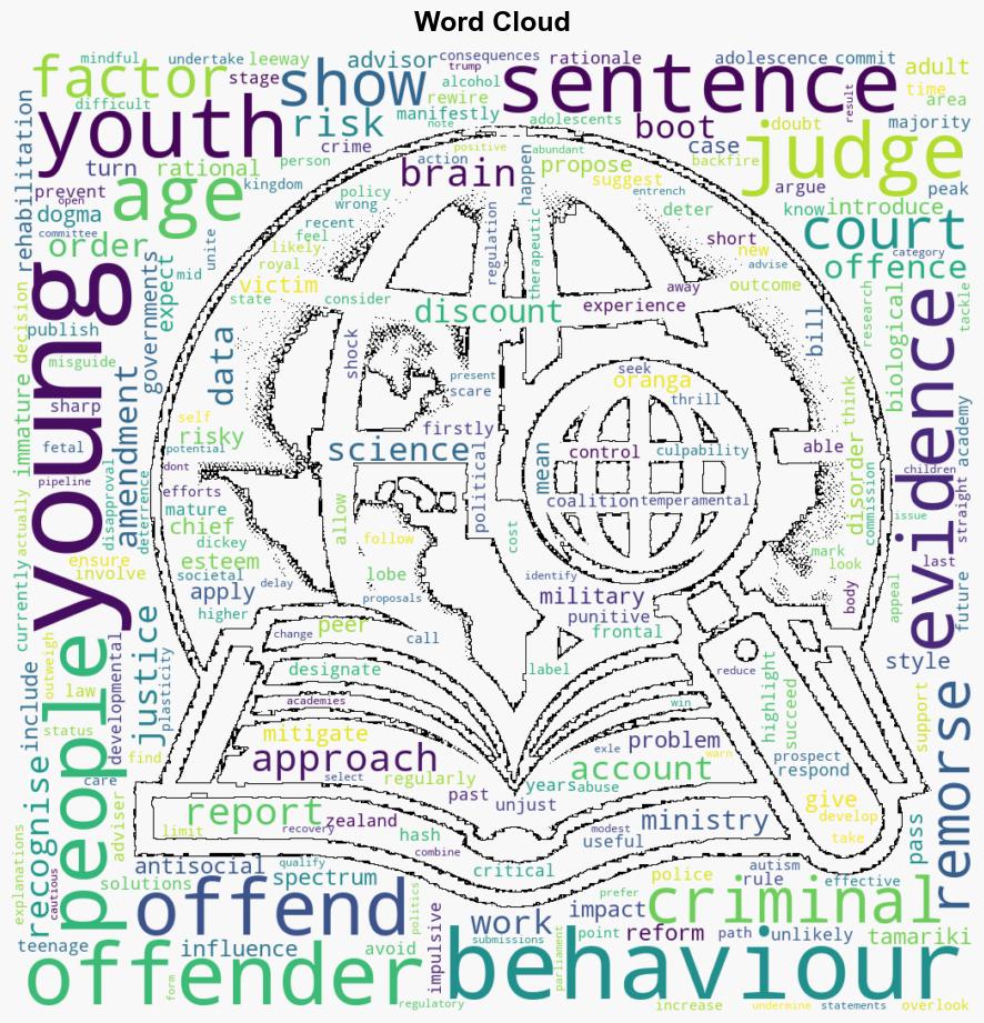 We know enough about brain development to know youth offending reforms probably wont work - The Conversation Africa - Image 1