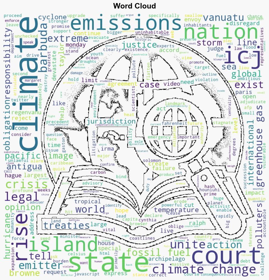 Whats been said at the landmark ICJ climate hearings - DW (English) - Image 1