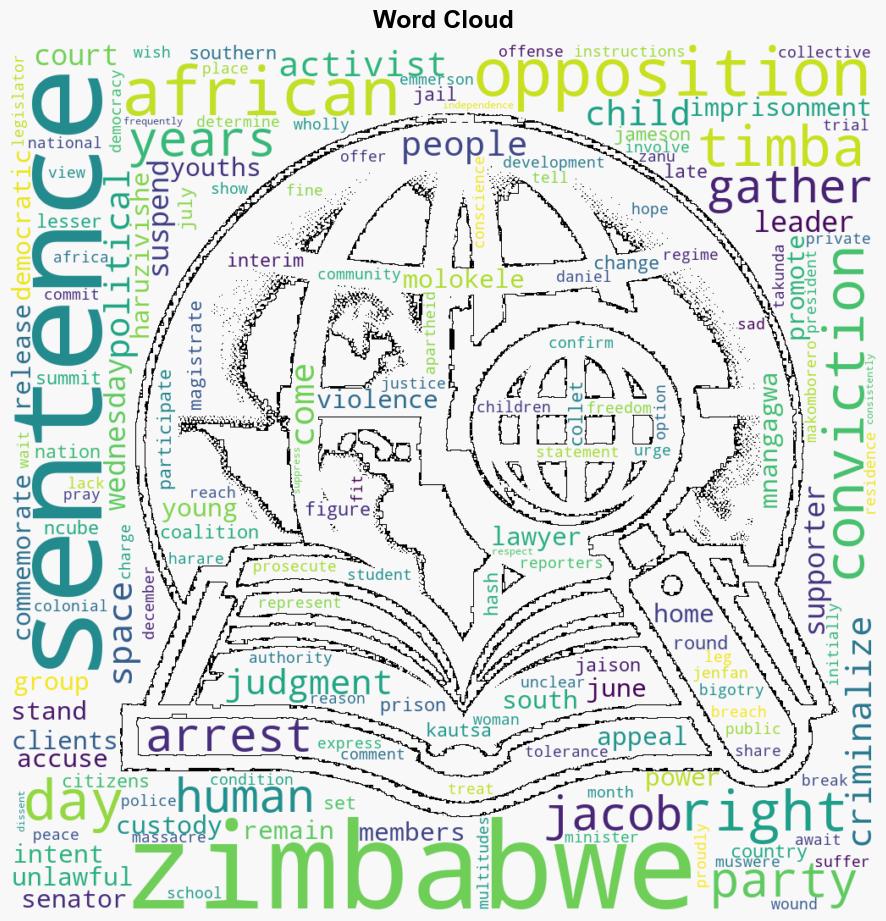 Zimbabwe court frees opposition leader followers after suspending their sentences - VOA News - Image 1