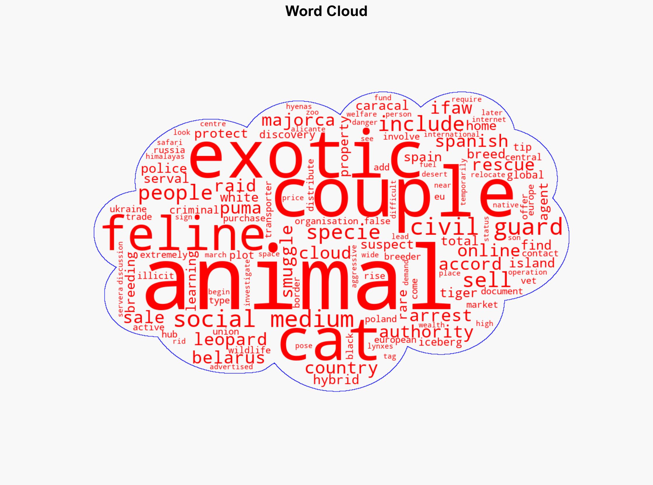 Couple arrested for breeding exotic cats in Spain - BBC News - Image 1