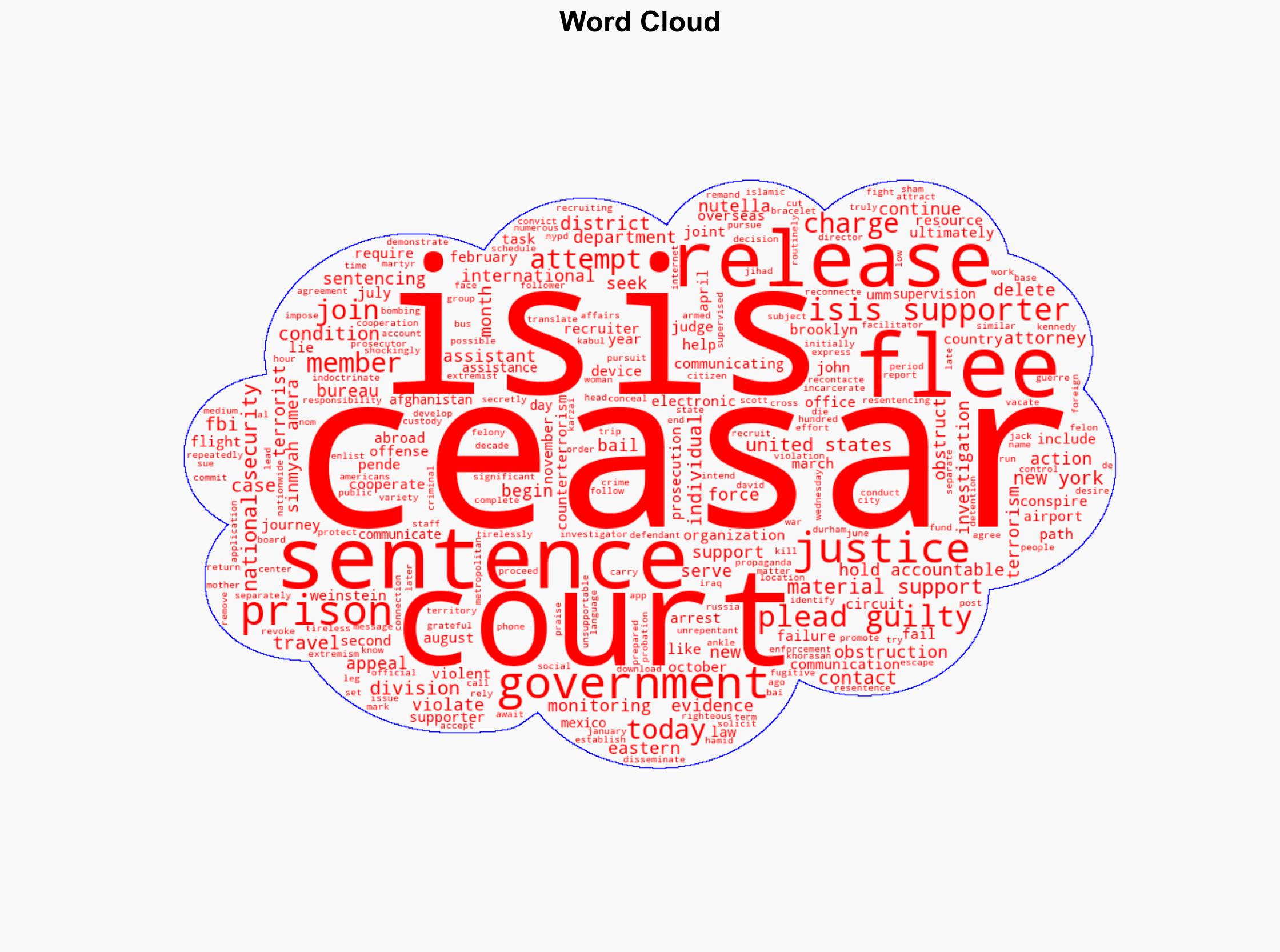 ISIS Supporter Sentenced to Over 19 Years in Prison for Recruiting for ISIS Obstruction and Attempting to Flee Justice - Globalsecurity.org - Image 1