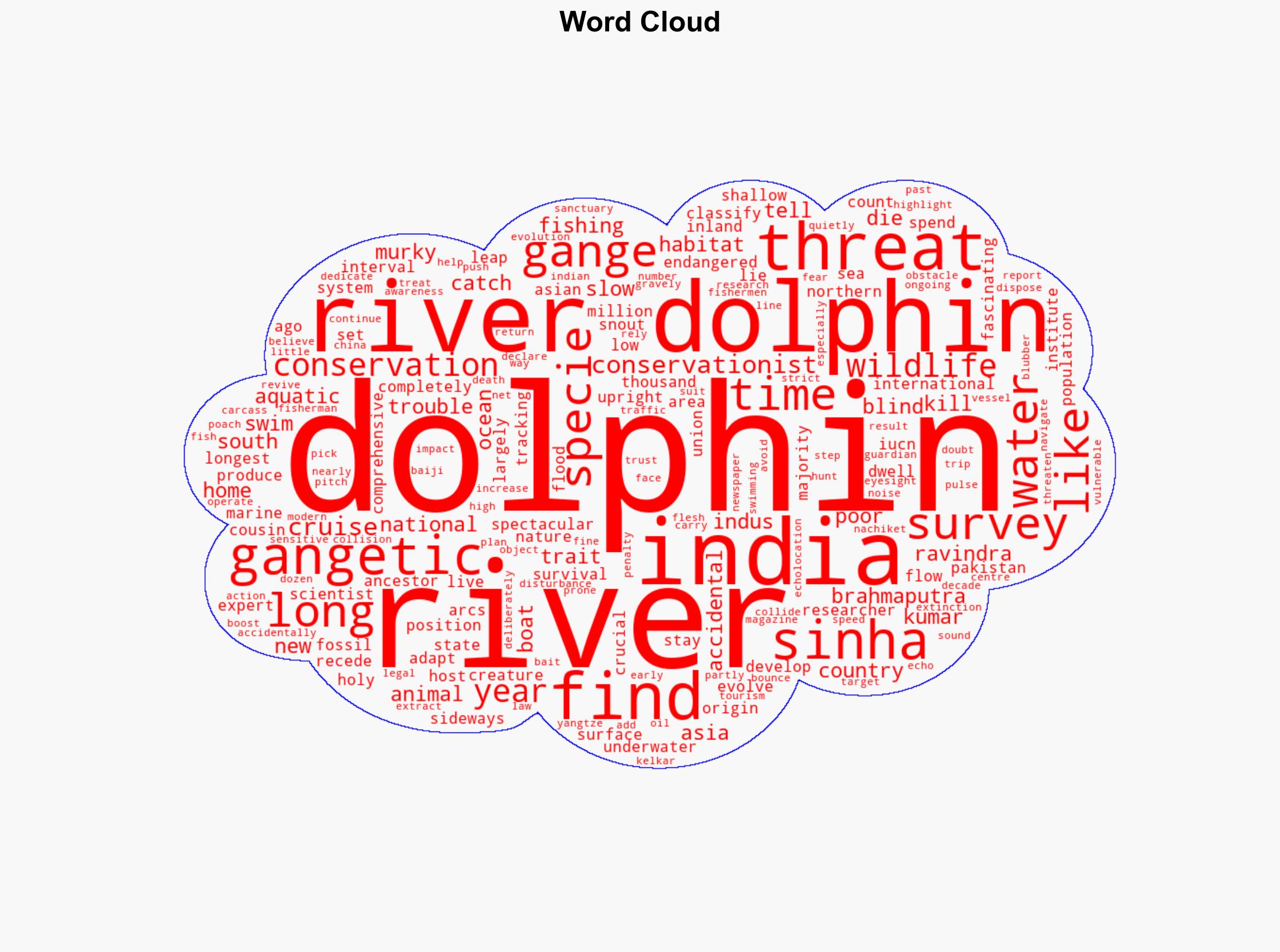 India's rivers are home to 6000 dolphins - but they are in trouble - BBC News - Image 1