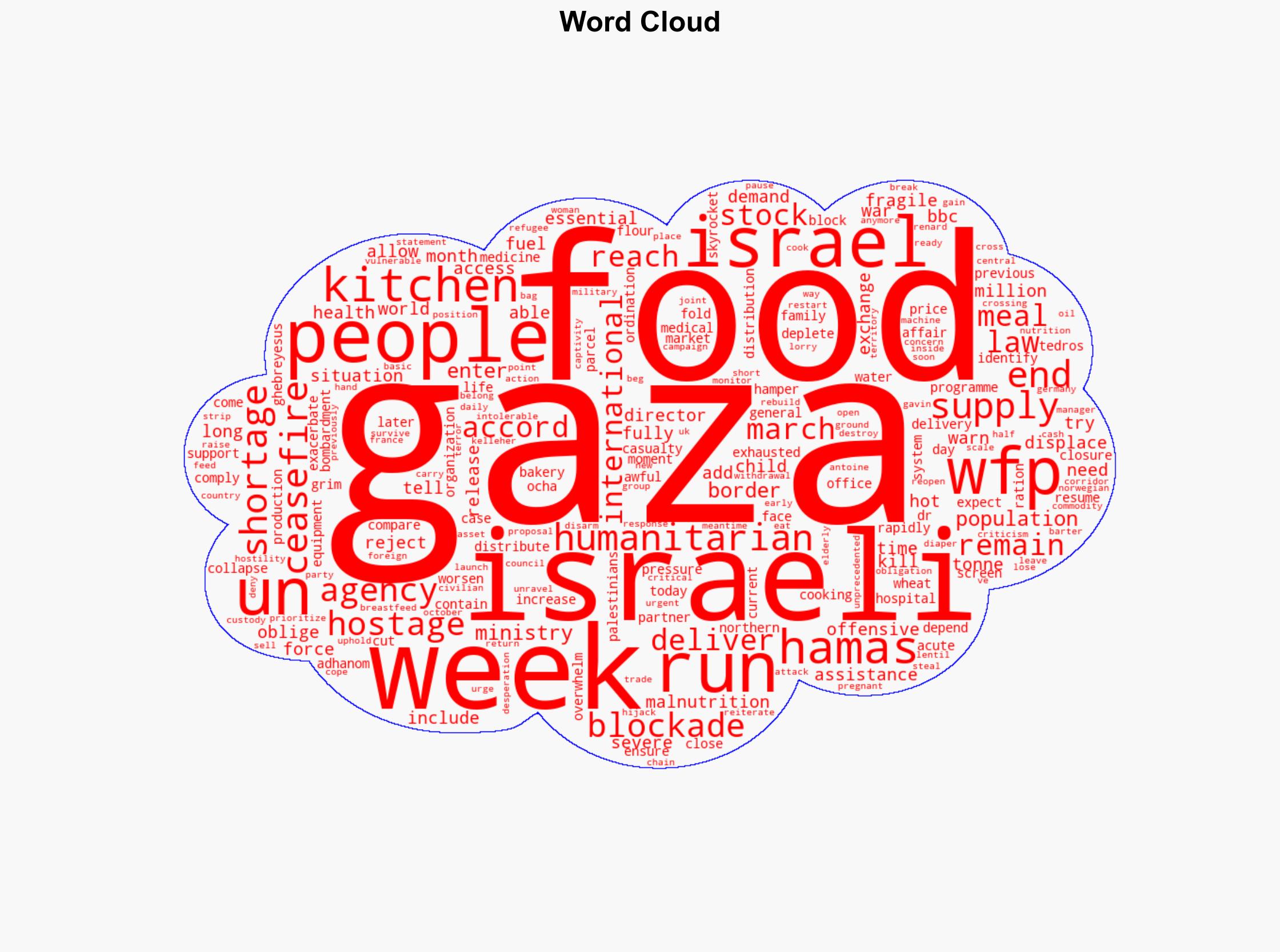UN agency runs out of food aid in Gaza after Israeli blockade - BBC News - Image 1