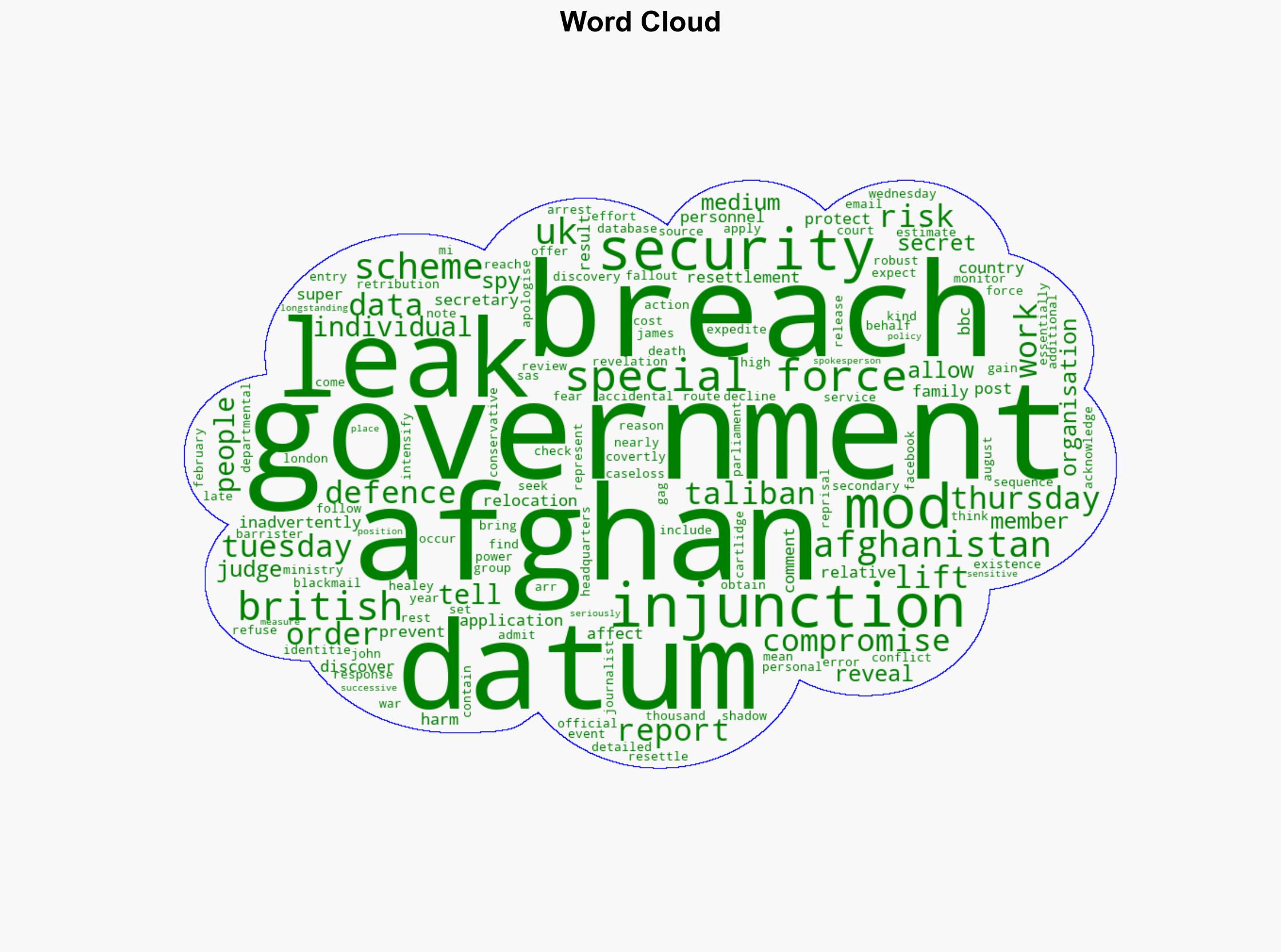 British spies and SAS named in Afghan data breach - BBC News - Image 1