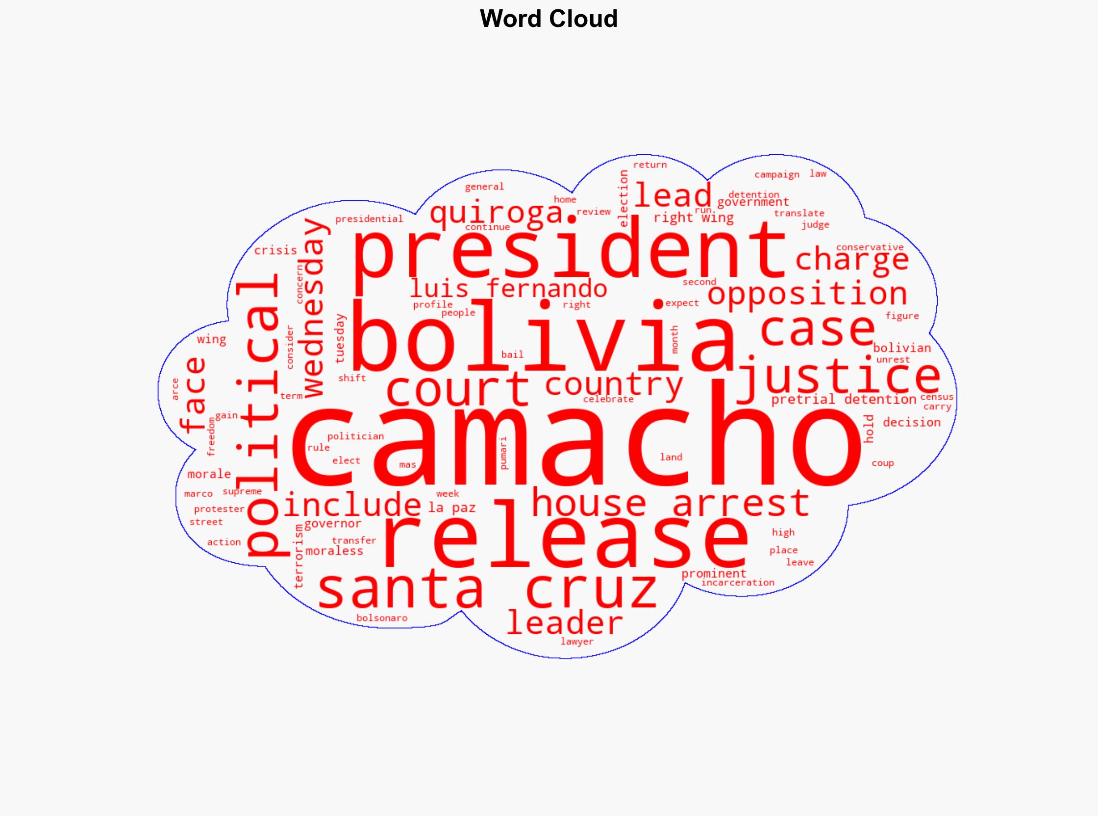 Court transfers Bolivian politician Luis Fernando Camacho to house arrest - Al Jazeera English - Image 1