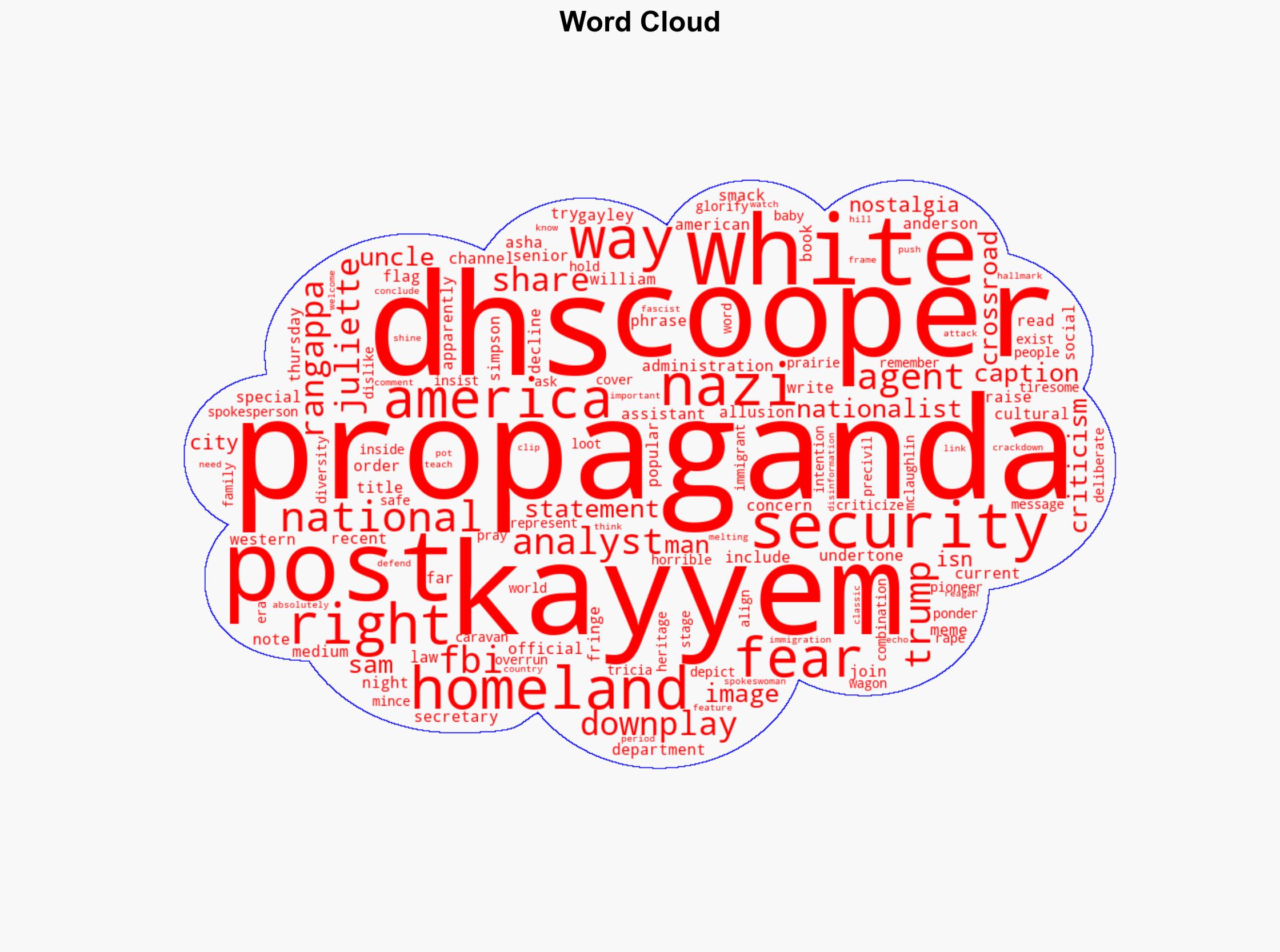 'It's Nazi propaganda period' Kristi Noem's DHS called out by experts on CNN - Raw Story - Image 1