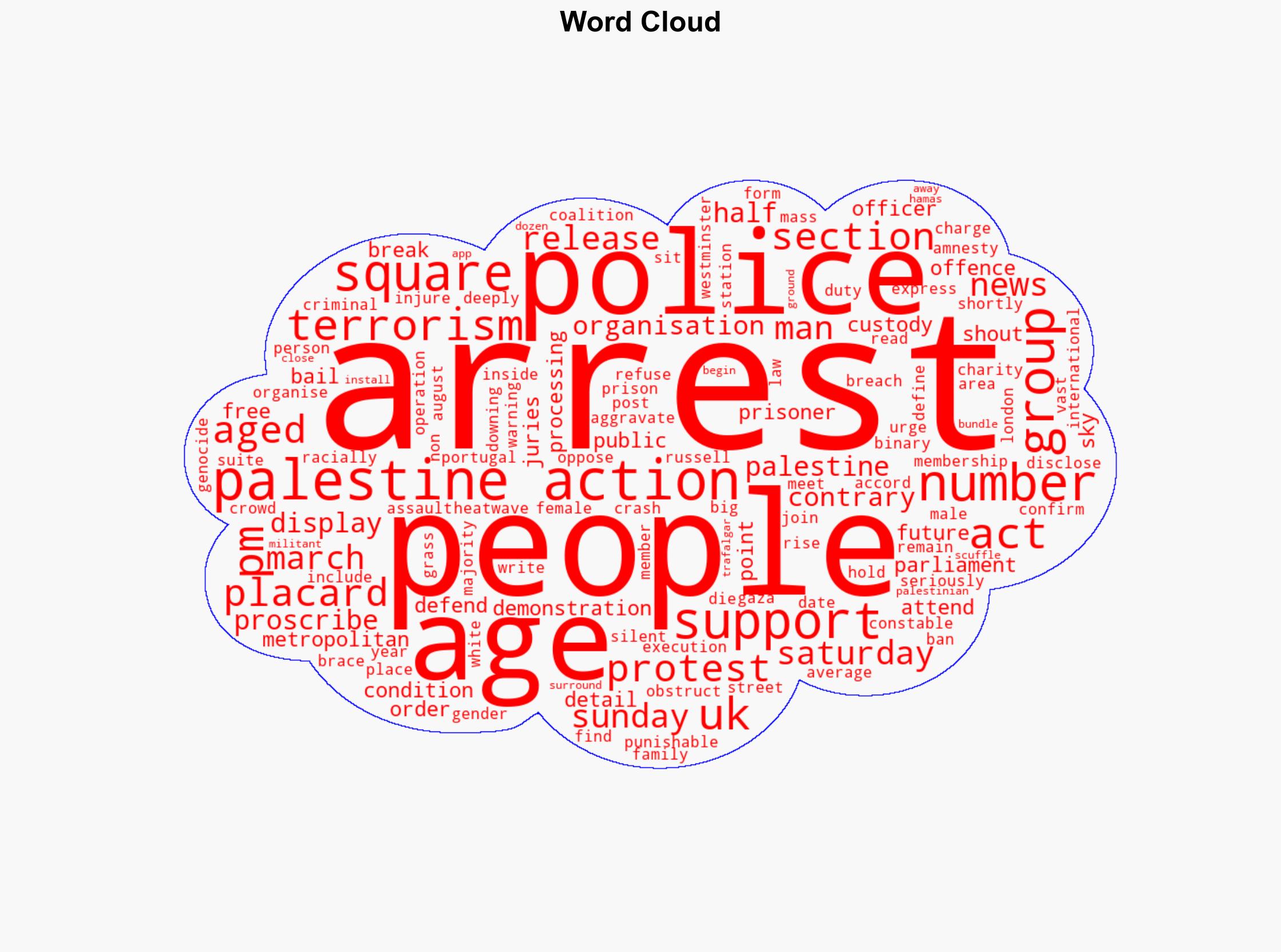 More than 500 people arrested after Palestine Action protest - with almost half aged 60 and above - Sky.com - Image 1