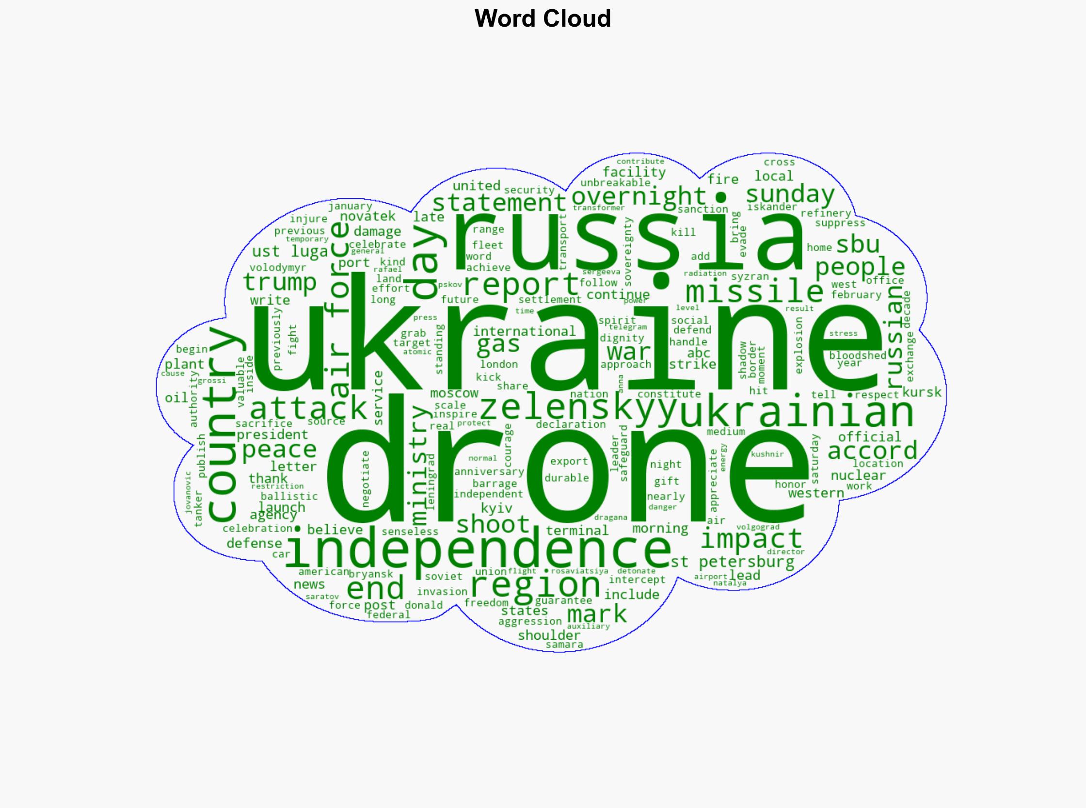 Russia hits Ukraine with drones as Kyiv celebrates independence day - ABC News - Image 1