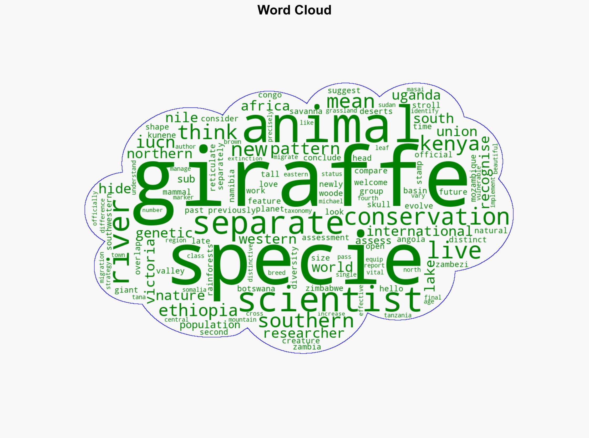 Three more species of giraffe than previously thought - can you spot the difference - BBC News - Image 1