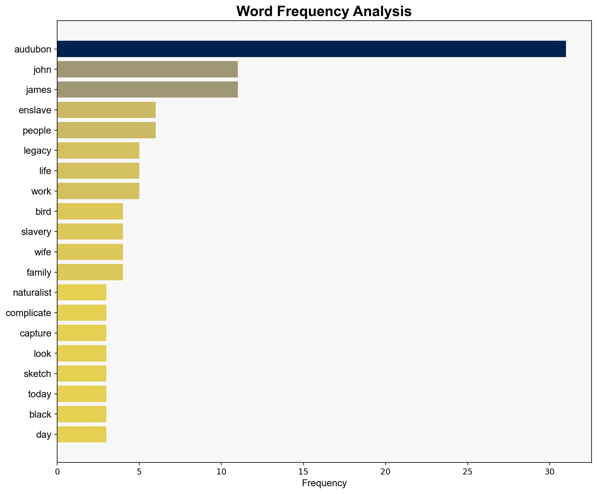 33 Breathtaking Illustrations Of Americas Birds By John James Audubon - Allthatsinteresting.com - Image 3