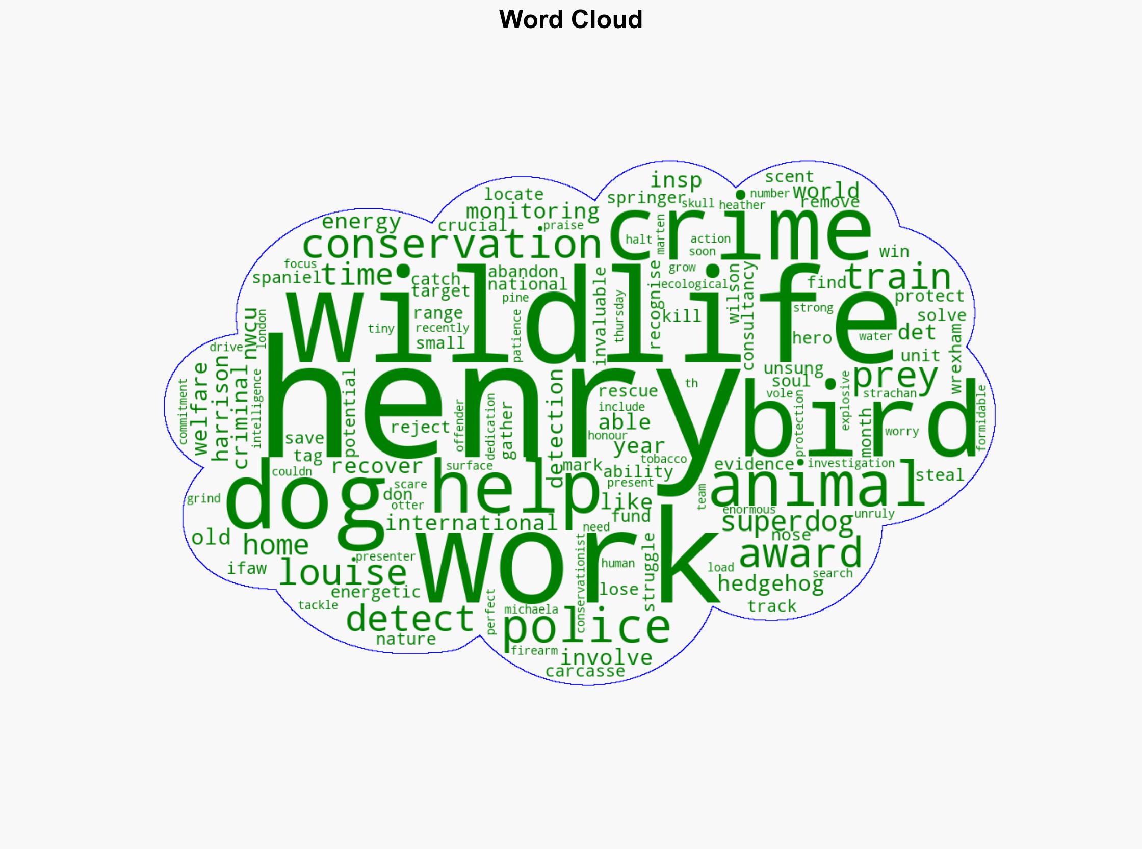 Award for dog abandoned five times but now solving wildlife crime - BBC News - Image 1