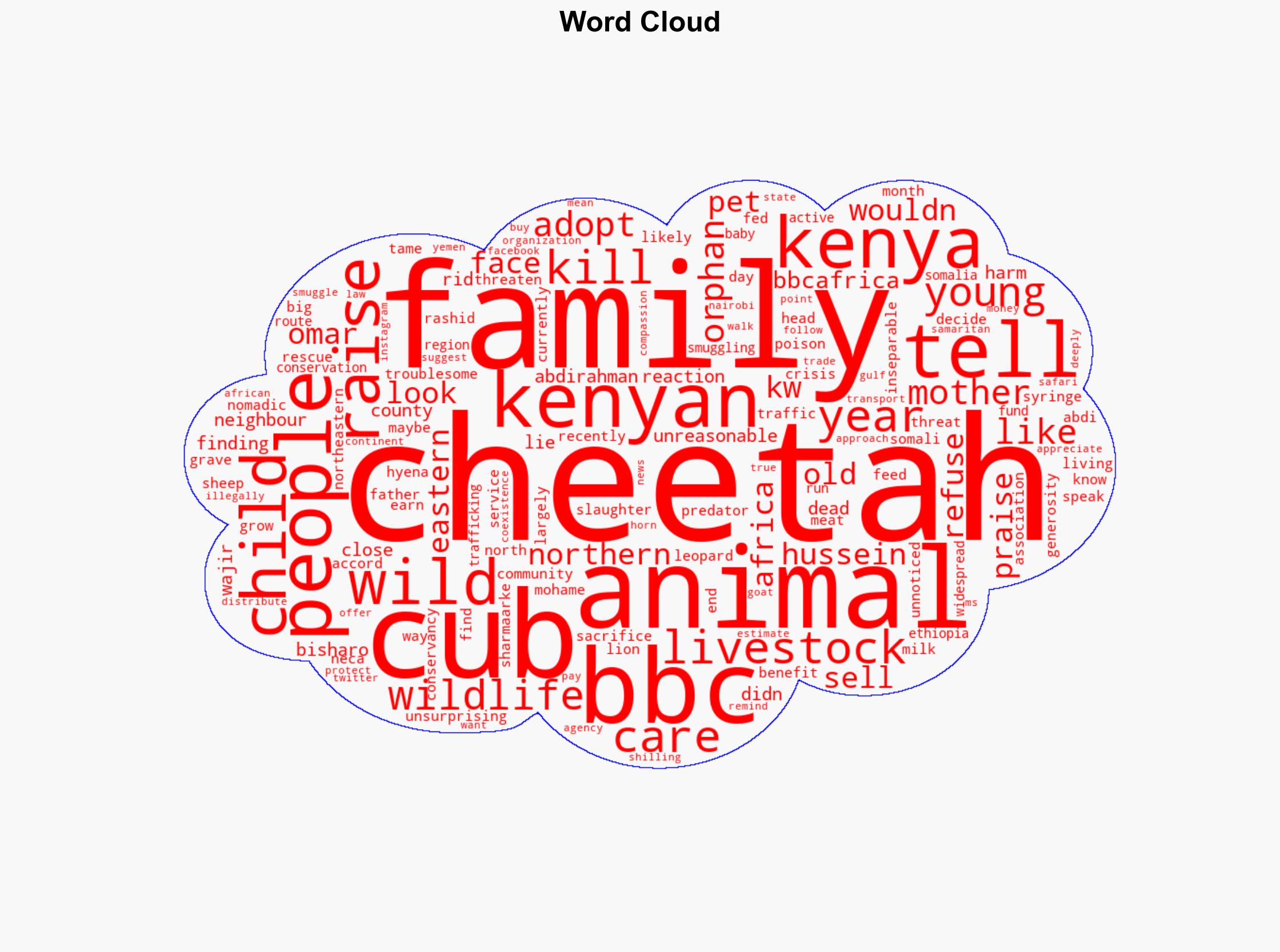 'It became one of the children' Kenyan family on adopting orphaned cheetah cub - BBC News - Image 1