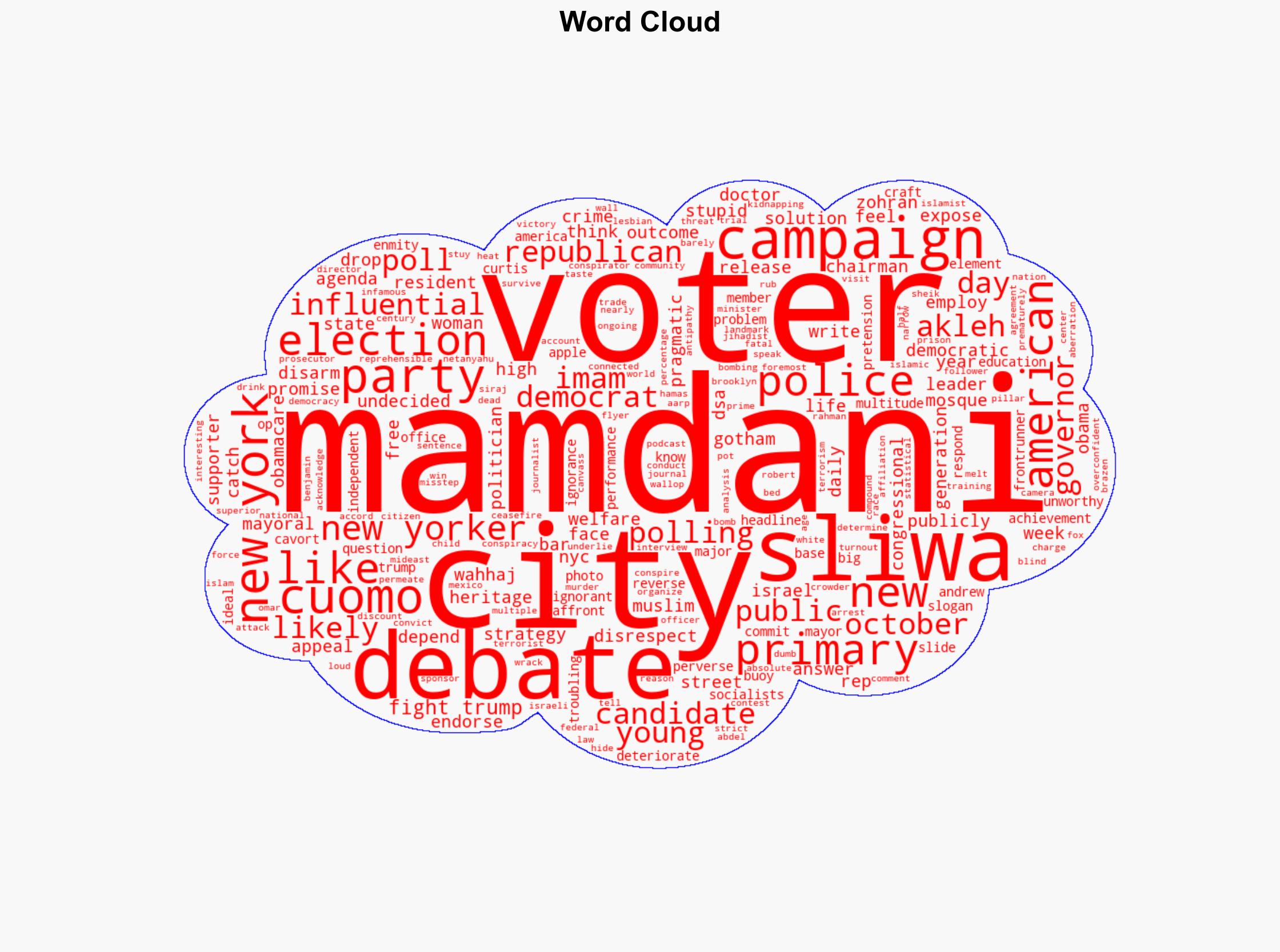 Mamdani Thinks New Yorkers Are Stupid and Unworthy - Americanthinker.com - Image 1